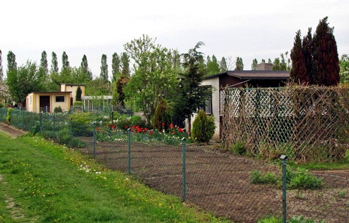 Działkowców straszą prezydentem?