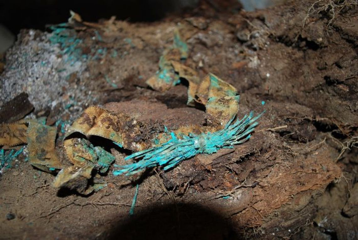 Dzieci pochowane po królewsku. Prace archeologiczne w kościele pw. św. Mikołaja w Gniewie Dzieci pochowane po królewsku. Prace archeologiczne w kościele pw. św. Mikołaja w Gniewie