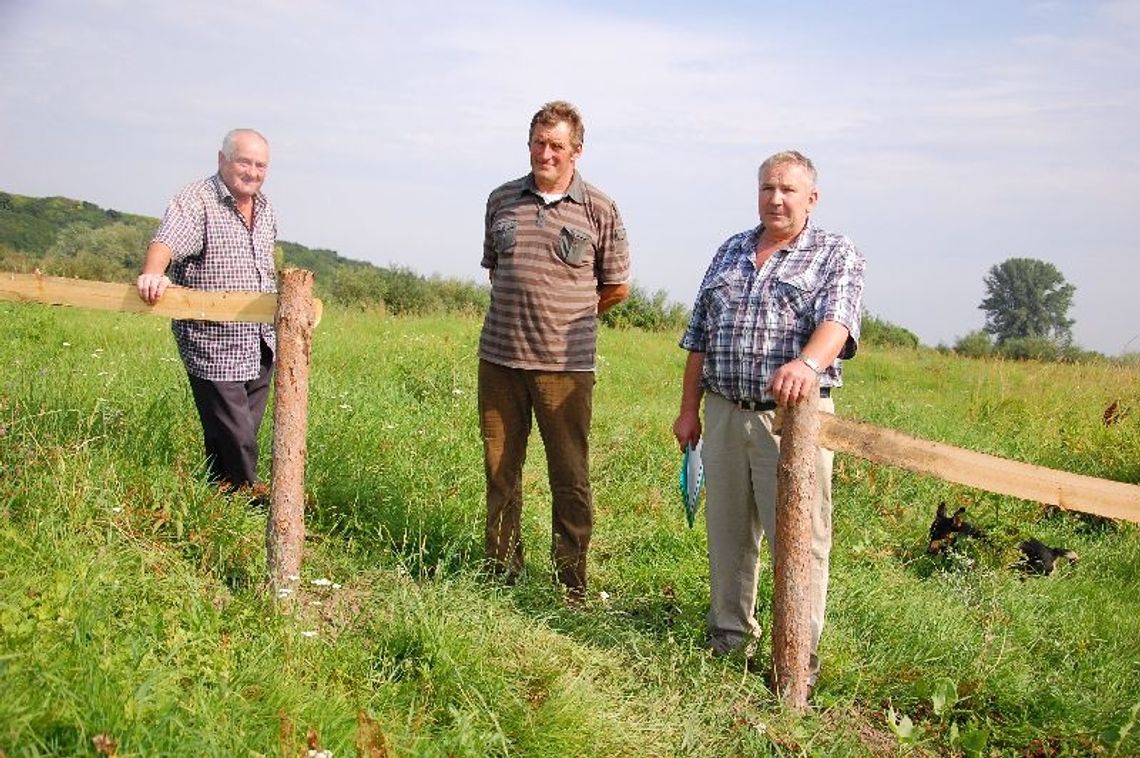  Dzierżawy bez wiedzy rolników. Korzystali z paszy, a nie dopłat