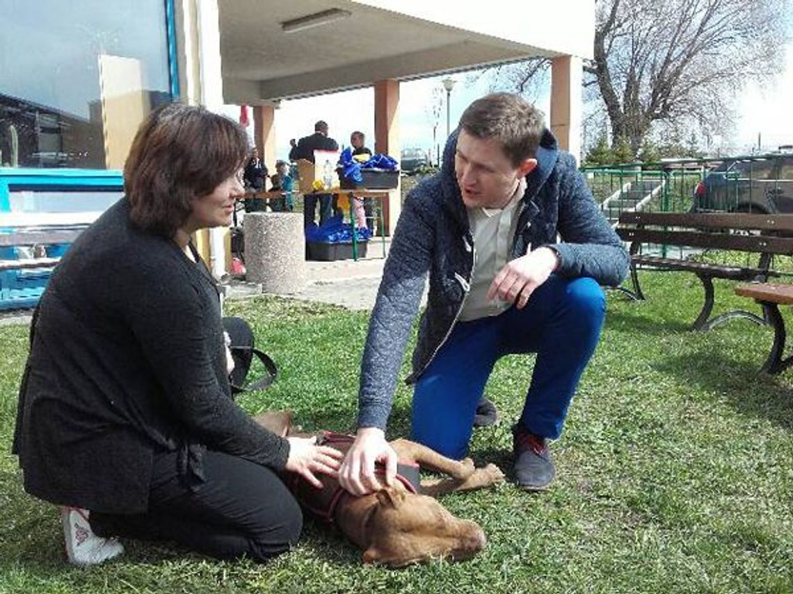 Dziesięć lat schroniska PROMYK   