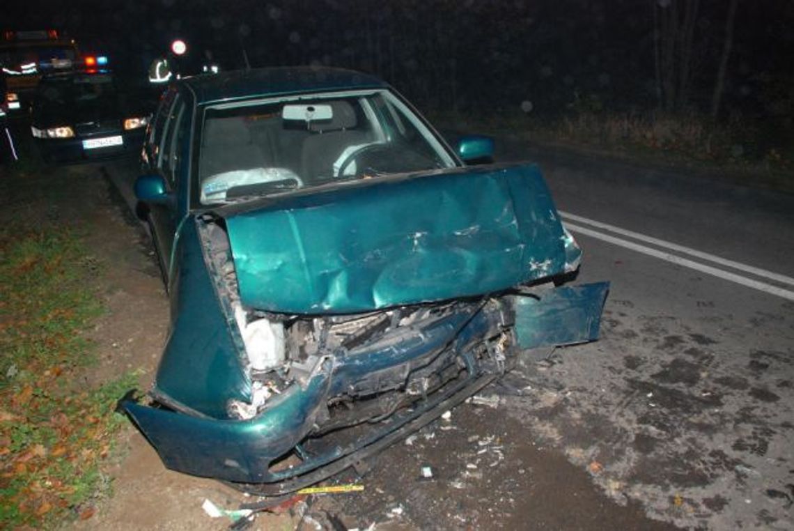 Dzik wpadł na drogę. "Czołówka" dwóch samochodów. Trzy osoby w szpitalu Dzik wpadł na drogę. "Czołówka" dwóch samochodów. Trzy osoby w szpitalu