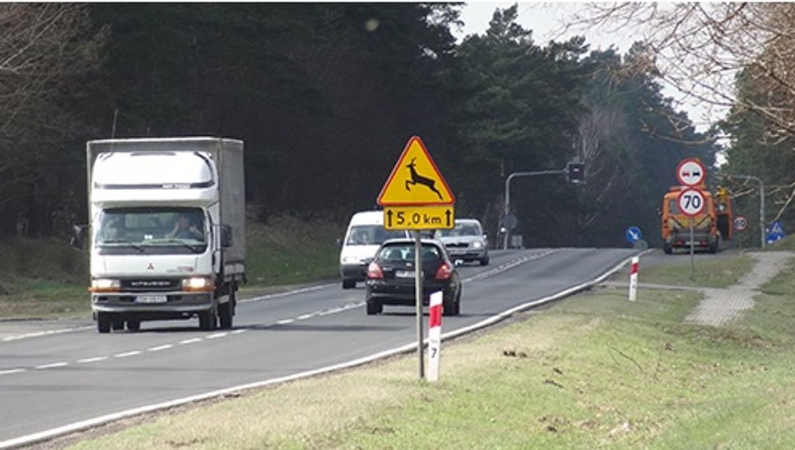 Dzika zwierzyna na "berlince"? Zabezpieczeń nie będzie Dzika zwierzyna na "berlince"? Zabezpieczeń nie będzie