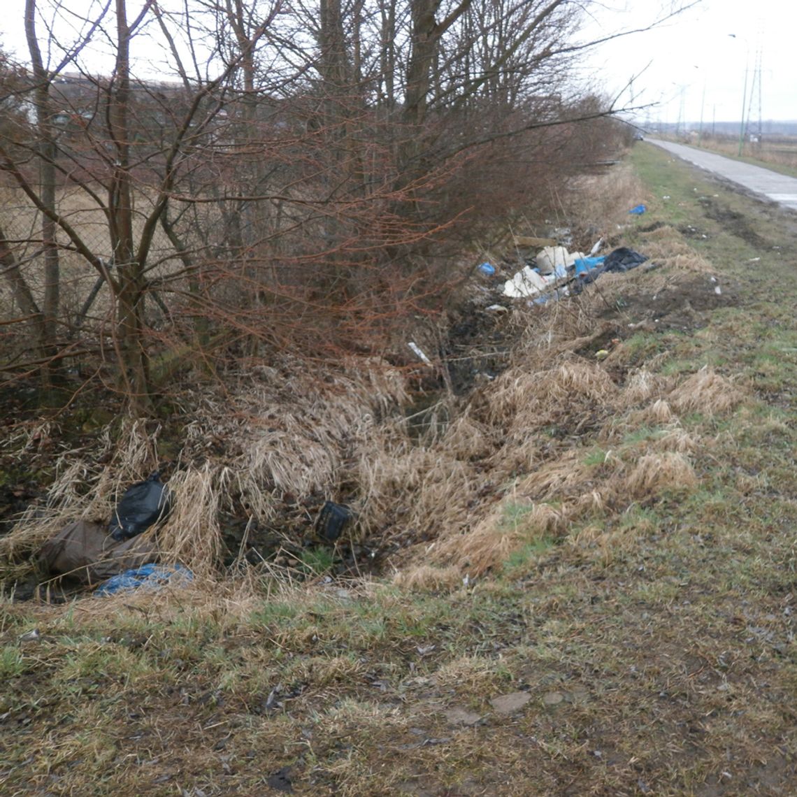 Dzikie wysypisko przy ul. Działkowej posprzątane przez aresztantów