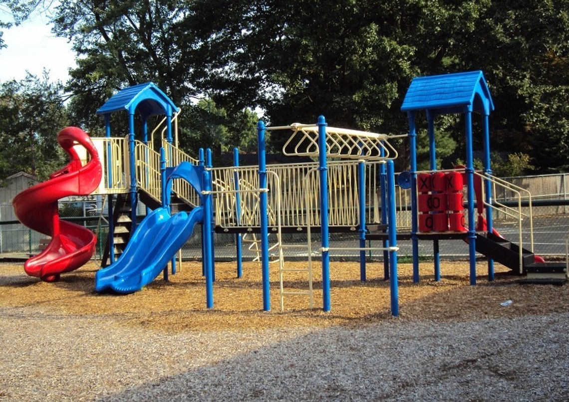 Dziś rusza głosowanie na projekty budżetu obywatelskiego w Tczewie. Jak oddać swój głos? Dziś rusza głosowanie na projekty budżetu obywatelskiego w Tczewie. Jak oddać swój głos?