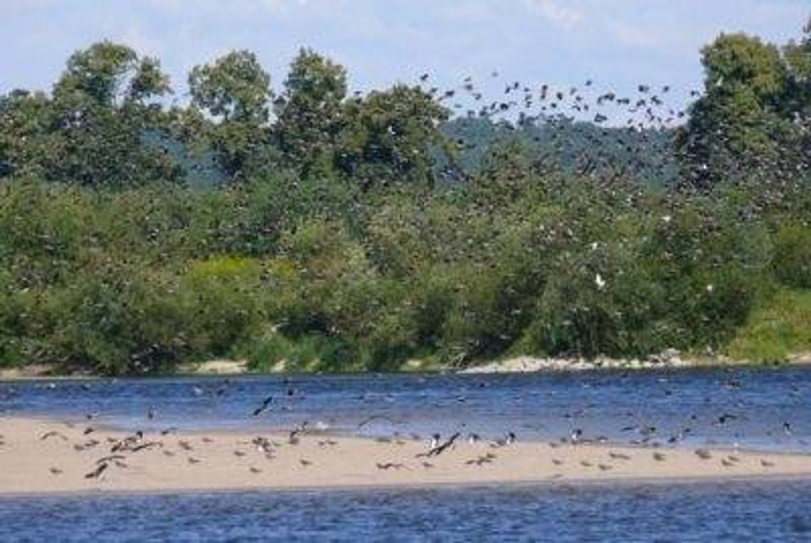 Dziś TVP rozpoczęła zdjęcia do serii filmów m.in. o Wiśle. Odwiedzą nasz powiat Dziś TVP rozpoczęła zdjęcia do serii filmów m.in. o Wiśle. Odwiedzą nasz powiat
