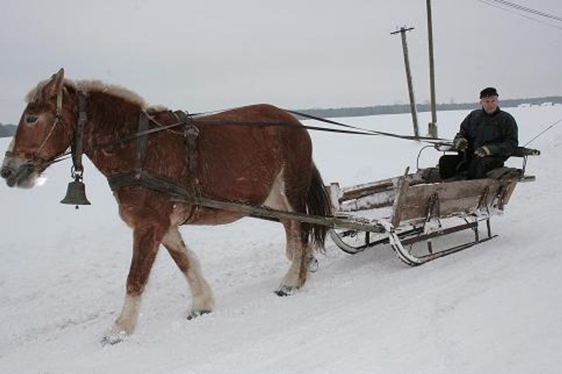 Efekty i defekty zimowych oszczędności Efekty i defekty zimowych oszczędności
