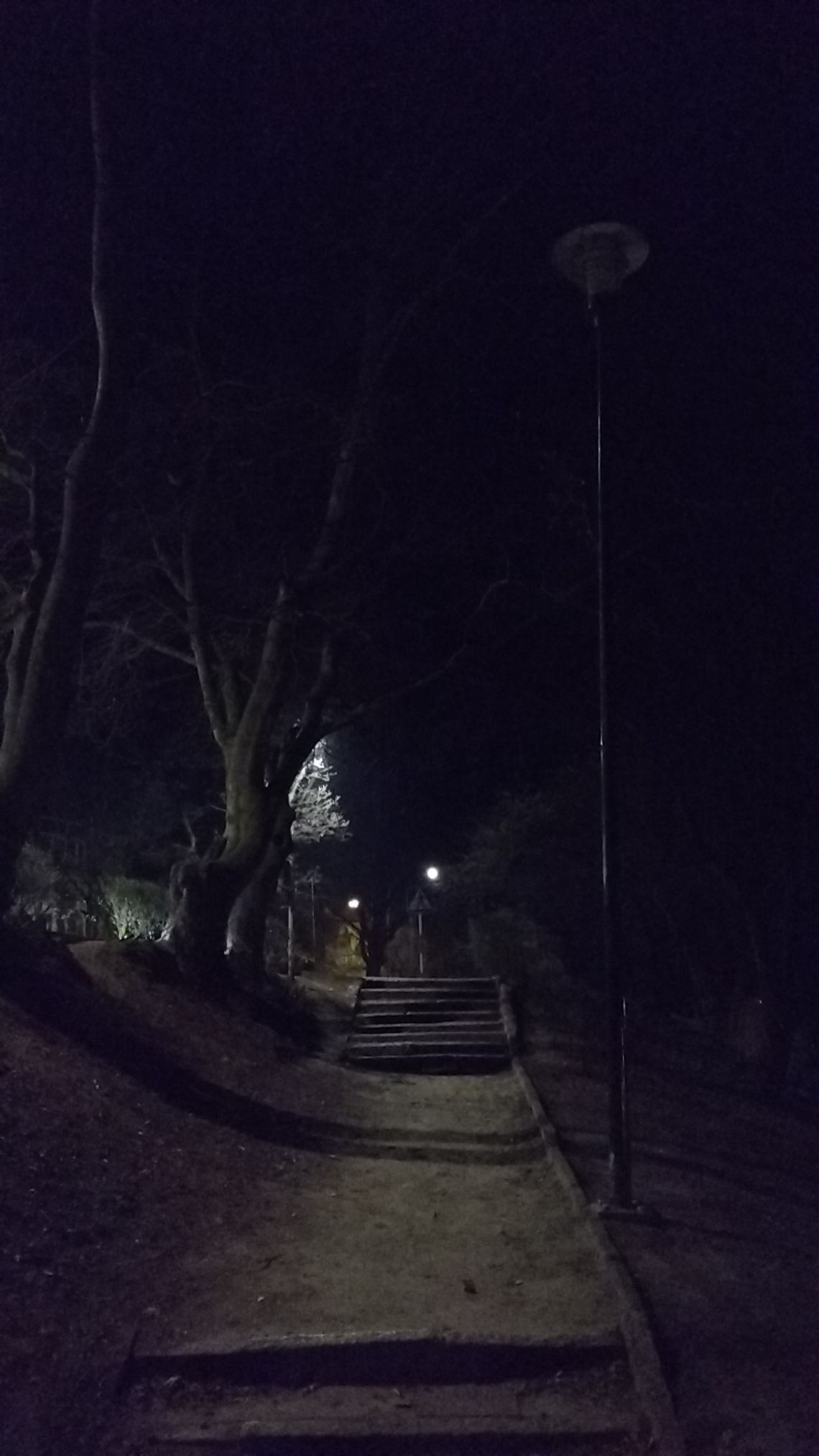 Egipskie ciemności w Parku Miejskim. Po naszej interwencji zrobiło się jaśniej...