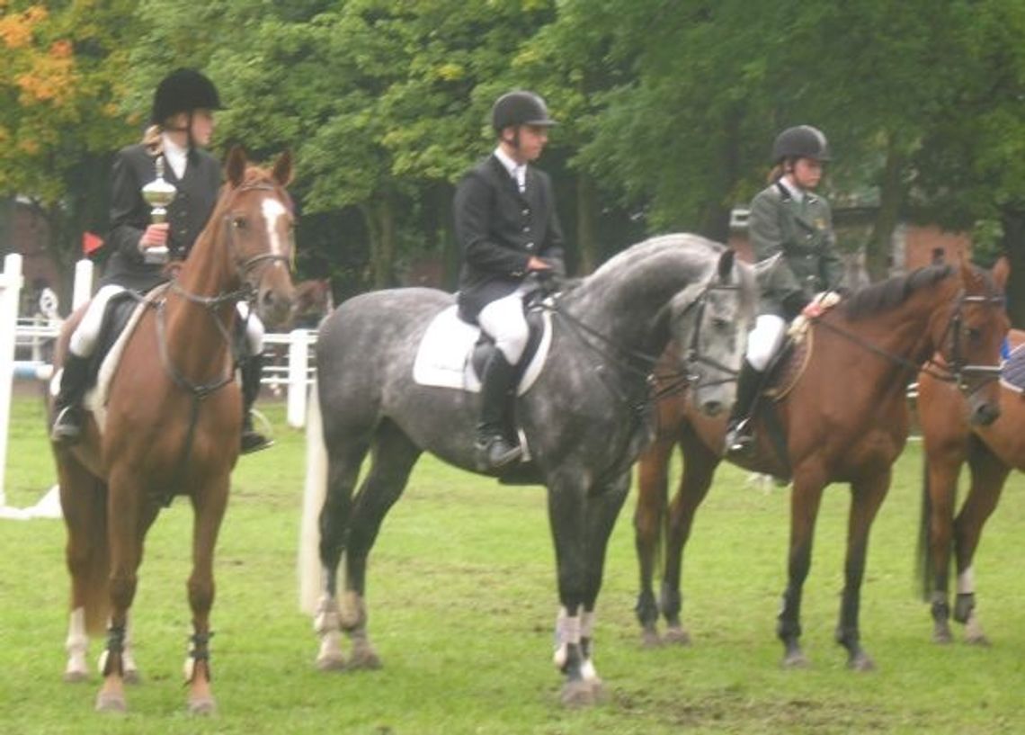 Emocje...nasze i koni Emocje...nasze i koni