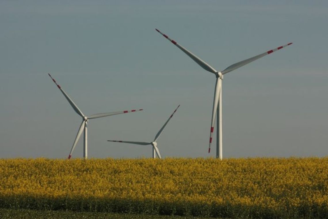 Farma wiatrowa wkrótce w Gniewie