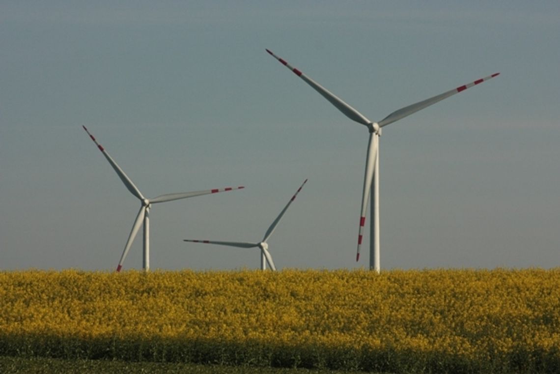 Farma wiatrowa za 240 mln zł!