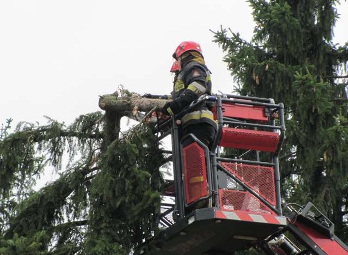 Fatalne prognozy pogody. Dyrektorzy mogą zamknąć szkoły