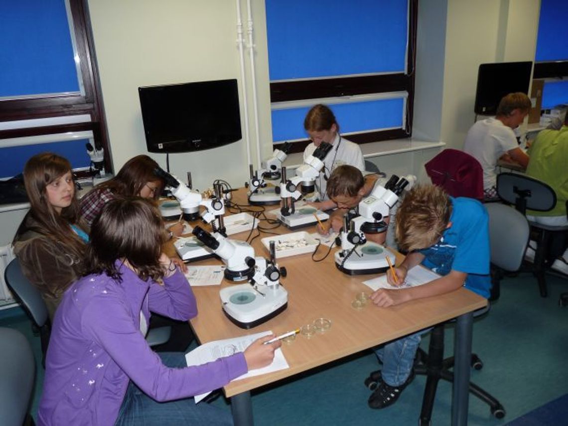 Fauna Bałtyku w powiększeniu Fauna Bałtyku w powiększeniu