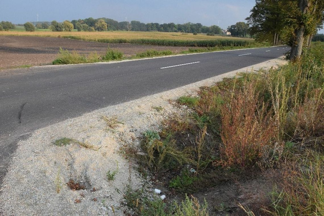 [GALERIA] Fetowanie drogi Żuławka Sztumska – Dzierzgoń. Skąd pochodziły środki na inwestycję?