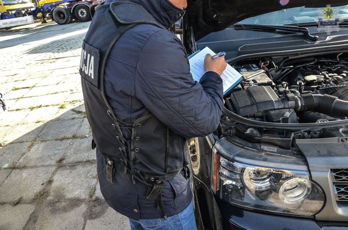 [FILM] Policjanci rozbili grupę przestępczą legalizującą kradzione samochody
