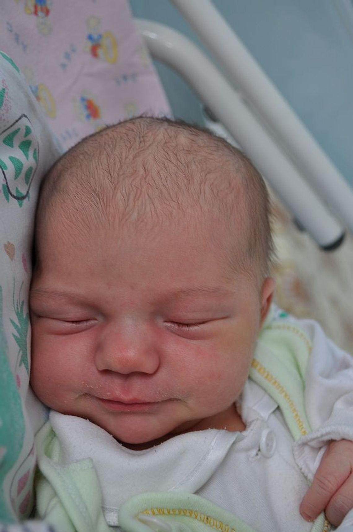 [FOTO] Maluszki - nowi mieszkańcy Tczewa i okolic