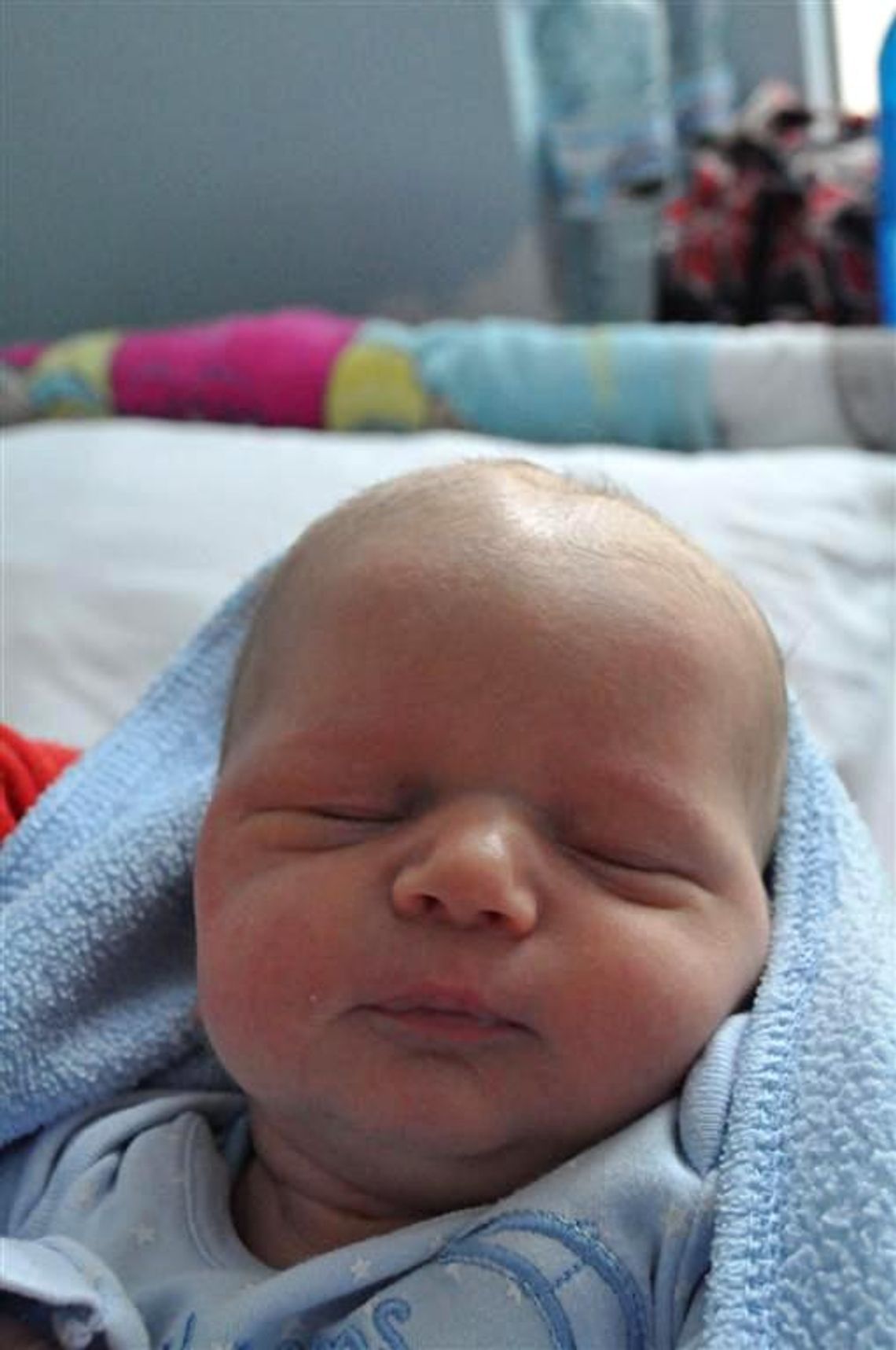 [FOTO] Maluszki - powitaj nowych mieszkańców!