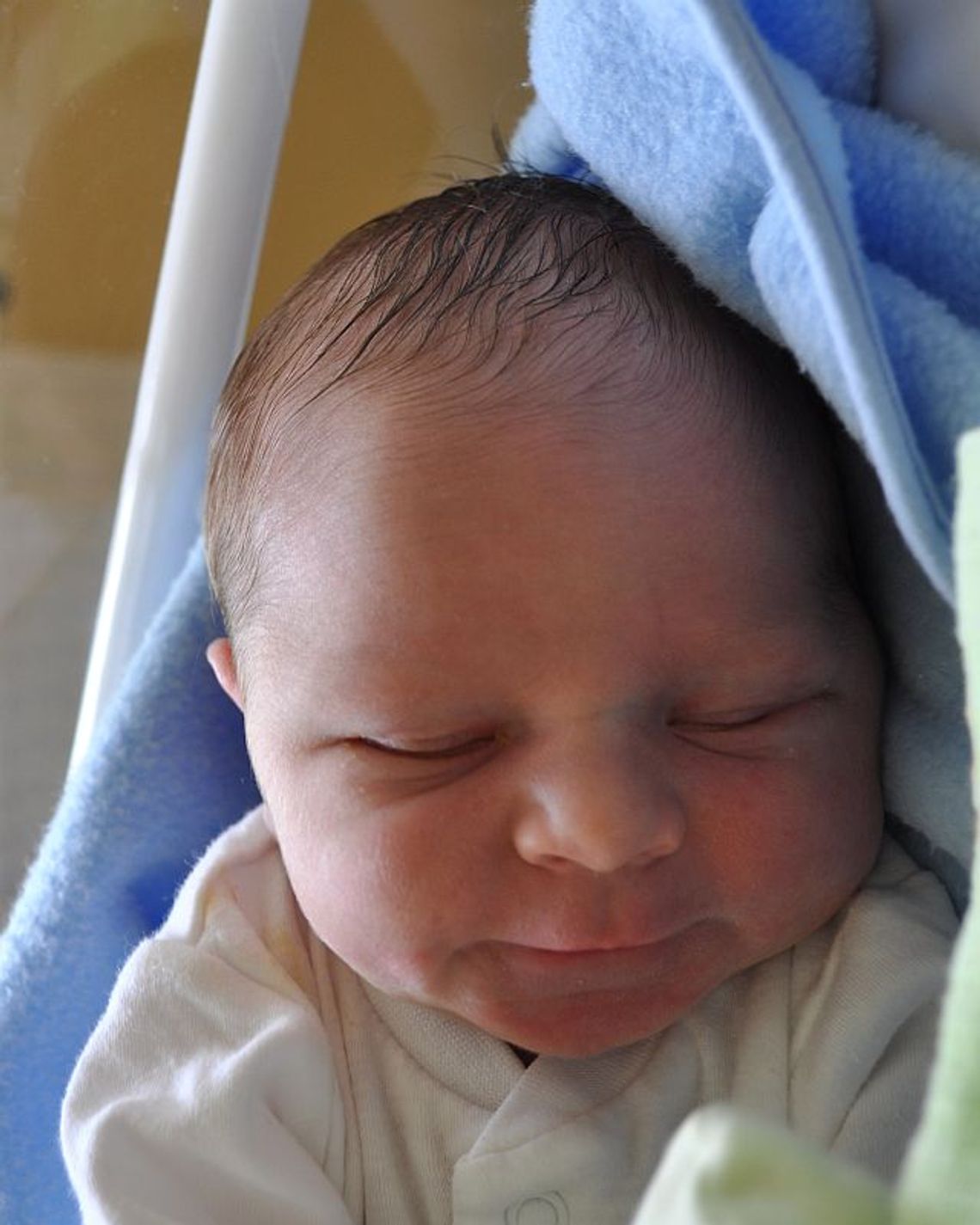 [FOTO] Maluszki - powitajcie nowych mieszkańców