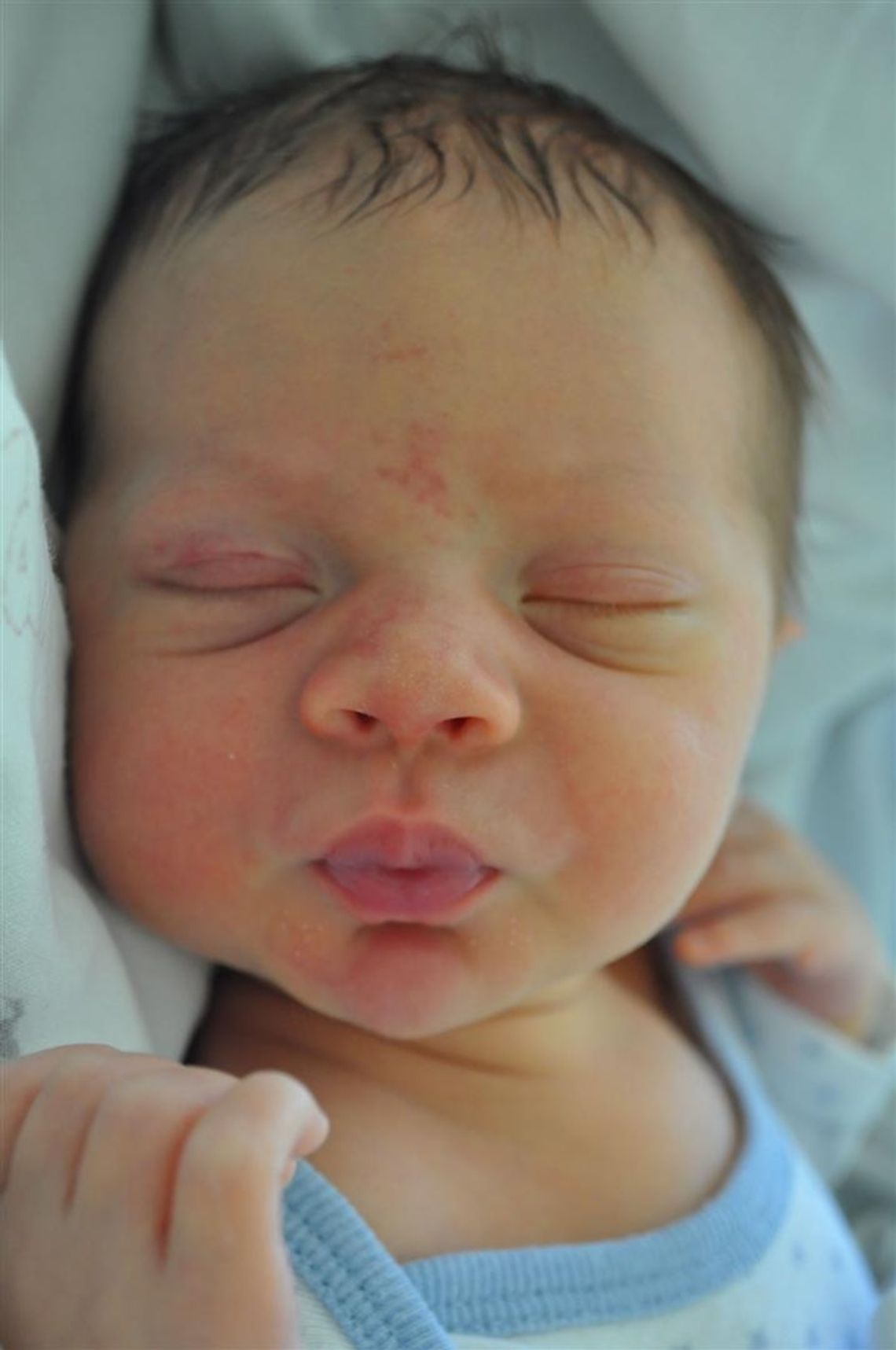 [FOTO] Maluszki - poznaj nowych mieszkańców!