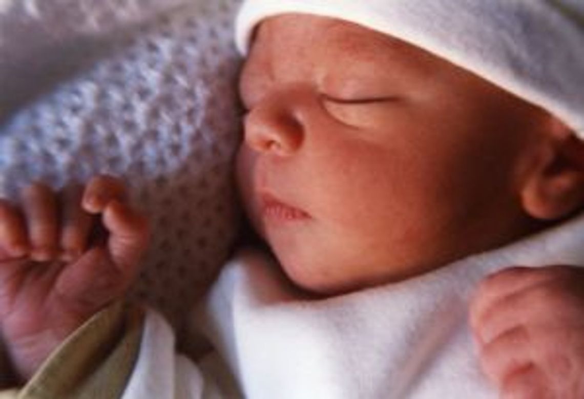 [FOTO] Maluszki - witamy nowych mieszkańców!