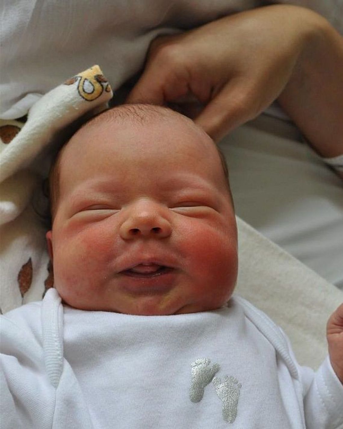 [FOTO] Maluszki - witamy nowych mieszkańców powiatu tczewskiego!