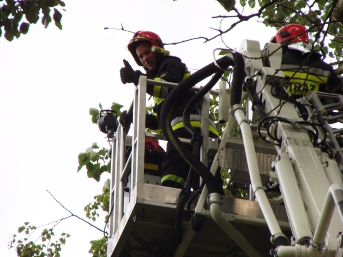 FOTO: Niebezpiecznie pochylony konar zwisał nad placem zabaw FOTO: Niebezpiecznie pochylony konar zwisał nad placem zabaw