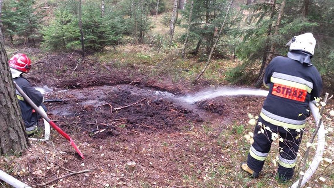 FOTO: Pożar torfowiska - akcja gaśnicza FOTO: Pożar torfowiska - akcja gaśnicza