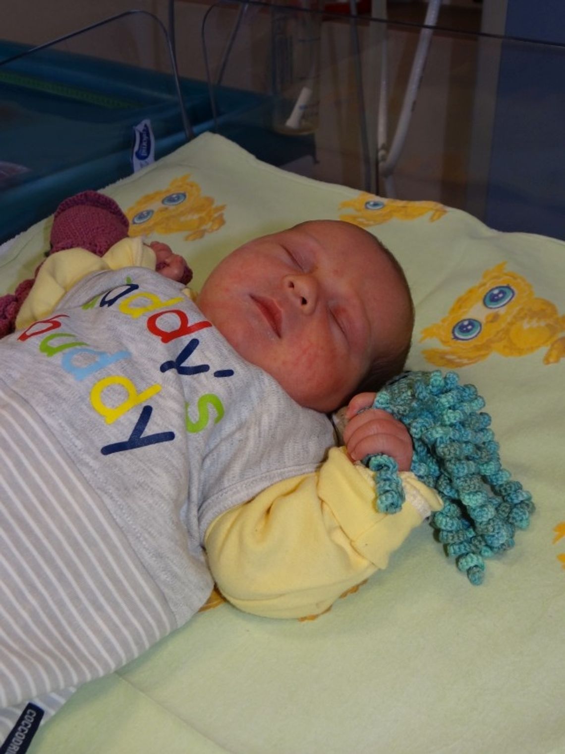 FOTO: Prezent dla wcześniaków. Wyjątkowe ośmiorniczki dla najmniejszych pacjentów 