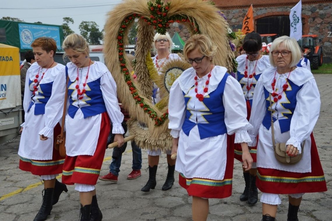 FOTO: Tłumy mieszkańców na Święcie Plonów, wystawie i targach FOTO: Tłumy mieszkańców na Święcie Plonów, wystawie i targach