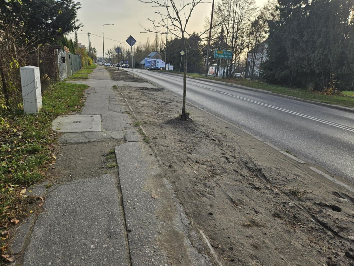 [FOTO] Zerwano trawę i co dalej...? ZDW tłumaczy, że to już efekt końcowy prac przy ulicy Gdańskiej