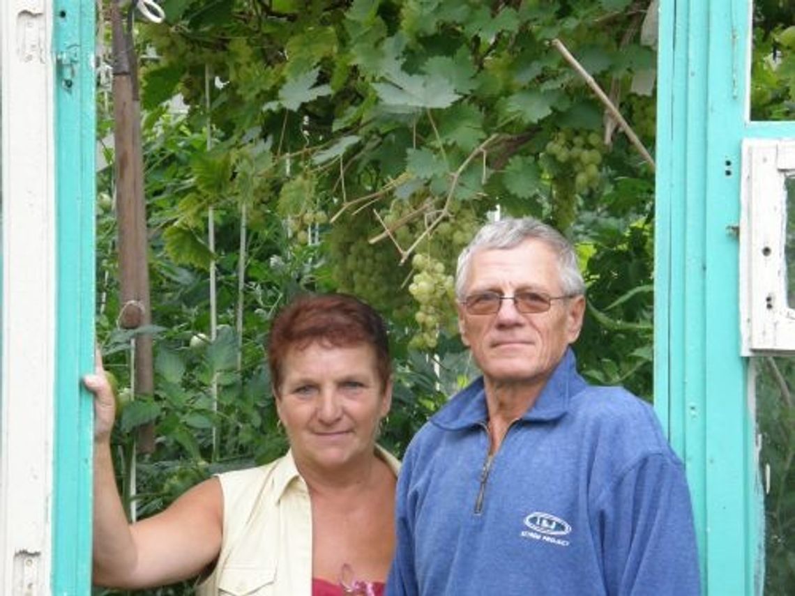 Fotografując życie działki Fotografując życie działki