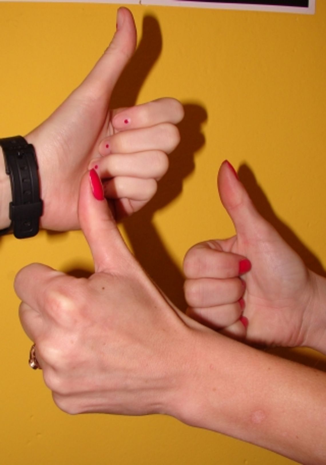 Fundusz Akumulator Społeczny zasili starogardzkie inicjatywy Fundusz Akumulator Społeczny zasili starogardzkie inicjatywy