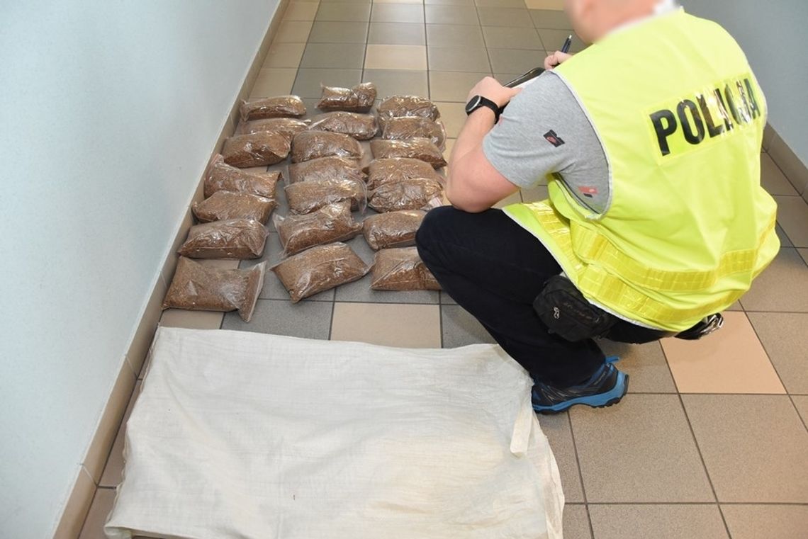 Funkcjonariusze zabezpieczyli nielegalny tytoń Funkcjonariusze zabezpieczyli nielegalny tytoń