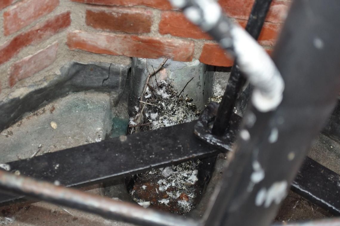 Gdy sąsiad dokarmia ptaki... Gdy sąsiad dokarmia ptaki...