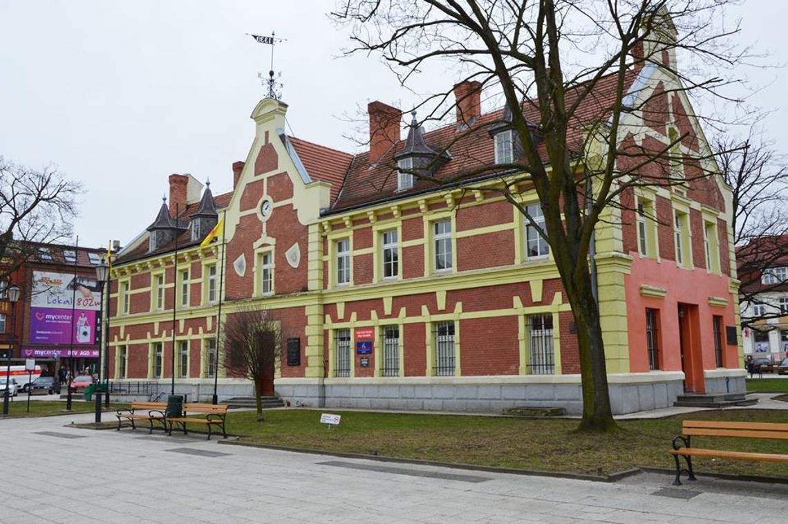 Gdzie jest cis?! Radny zauważył brak chronionego krzewu w pobliżu Ratusza