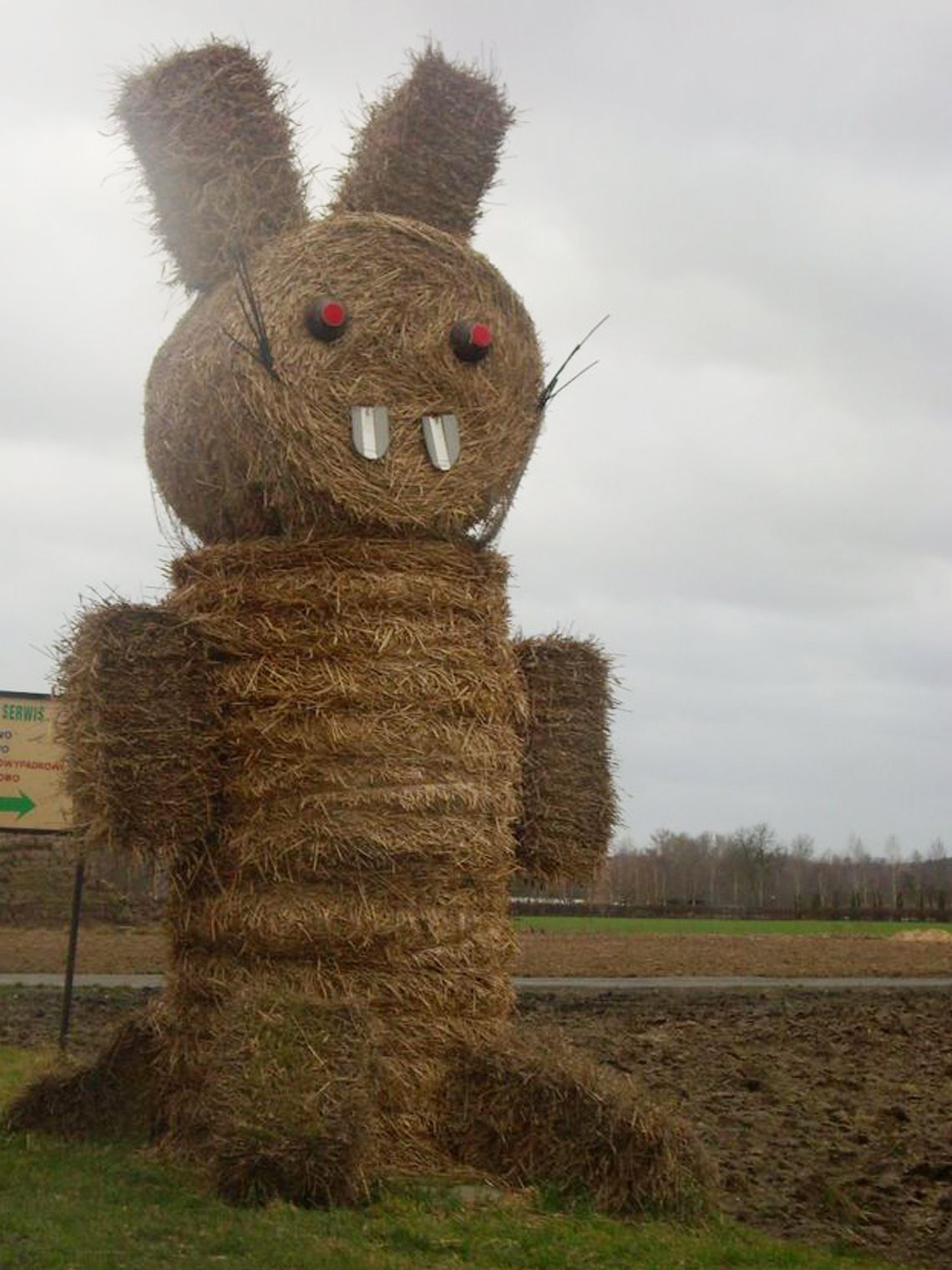 Gdzie jest słomiany zając?