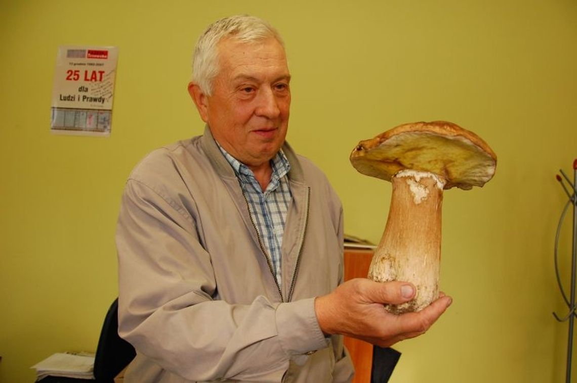 Gigantyczny borowik spod Swarożyna Gigantyczny borowik spod Swarożyna