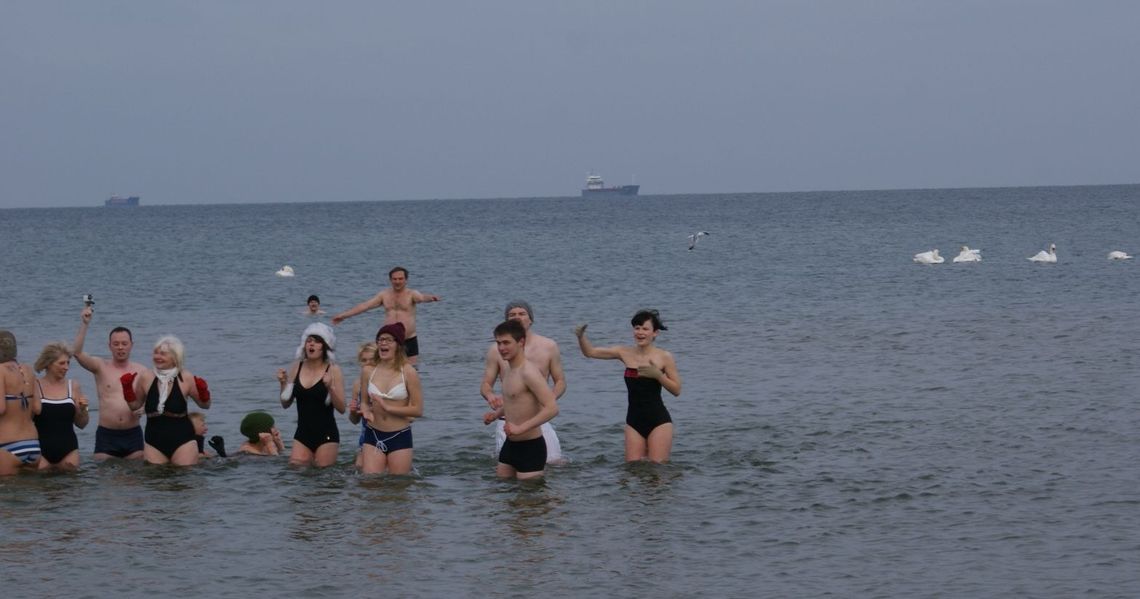 "Gorąca" atmosfera morsów z "Krętej"