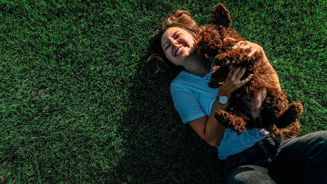 Gorące lato, wakacje i czworonożni przyjaciele – jak dbać o psa podczas upałów?