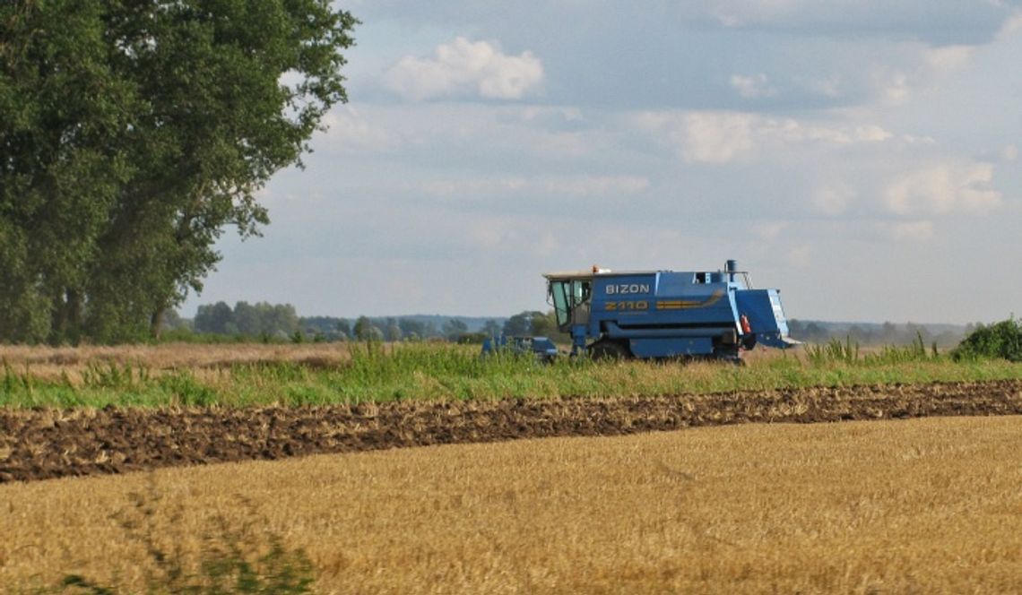 Gospodarzu, oczekuj rachmistrza. Powszechny Spis Rolny 2010 już we wrześniu Gospodarzu, oczekuj rachmistrza. Powszechny Spis Rolny 2010 już we wrześniu