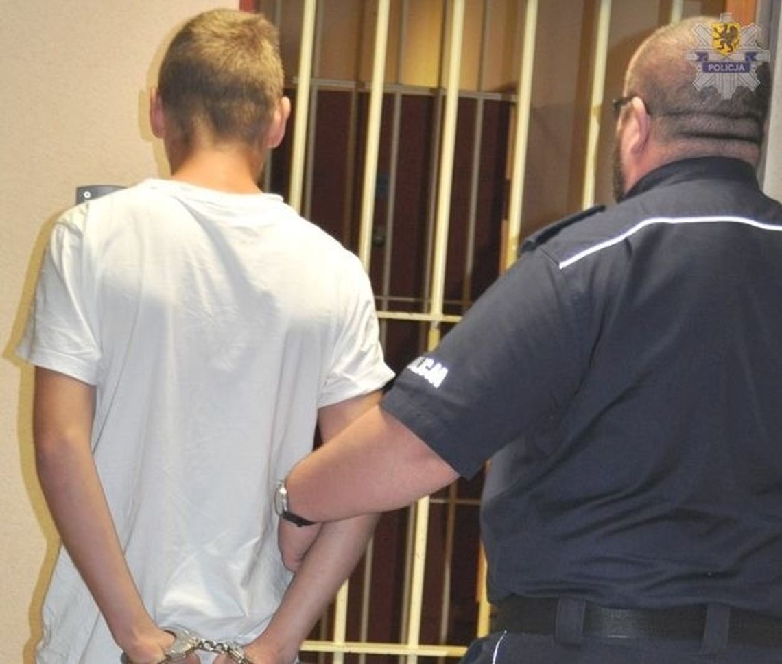 Grasował na działkach i okradał altany. 19-latkowi grozi do 10 lat pozbawienia wolności Grasował na działkach i okradał altany. 19-latkowi grozi do 10 lat pozbawienia wolności