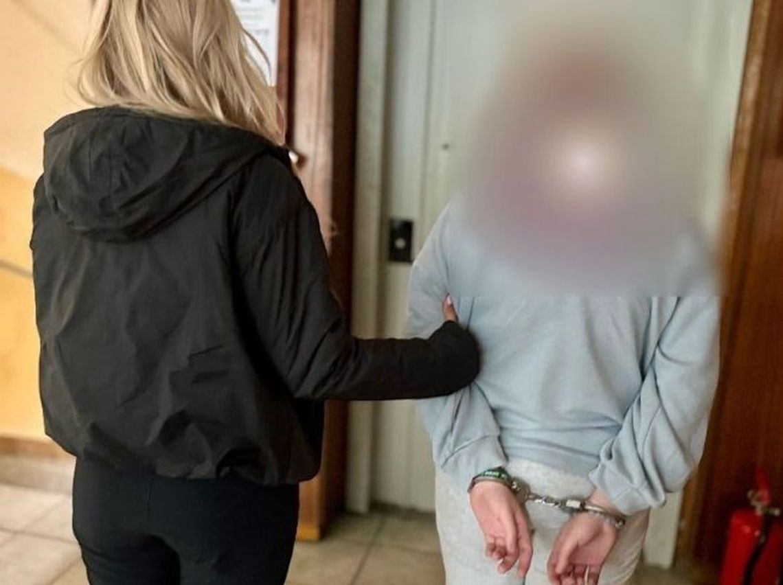 Groźby w internecie i udział w pobiciu. Nastolatka odpowie przed sądem Groźby w internecie i udział w pobiciu. Nastolatka odpowie przed sądem