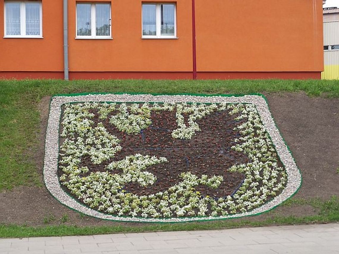 Gryf zakwitnie, czyli kwiatowa rabata z herbem miasta Gryf zakwitnie, czyli kwiatowa rabata z herbem miasta