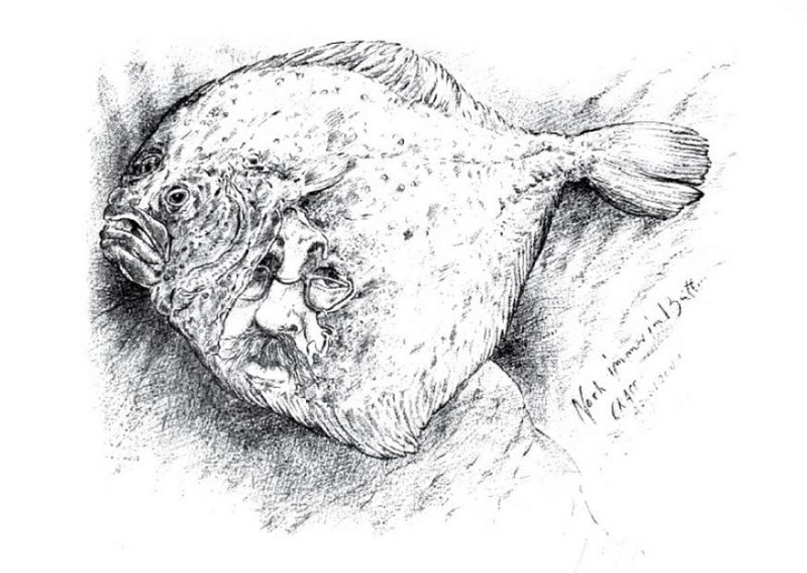 Günter Grass – kolekcja gdańska