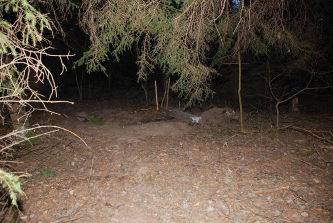 Hieny cmentarne - ograbili i zniszczyli powojenny nagrobek Hieny cmentarne - ograbili i zniszczyli powojenny nagrobek