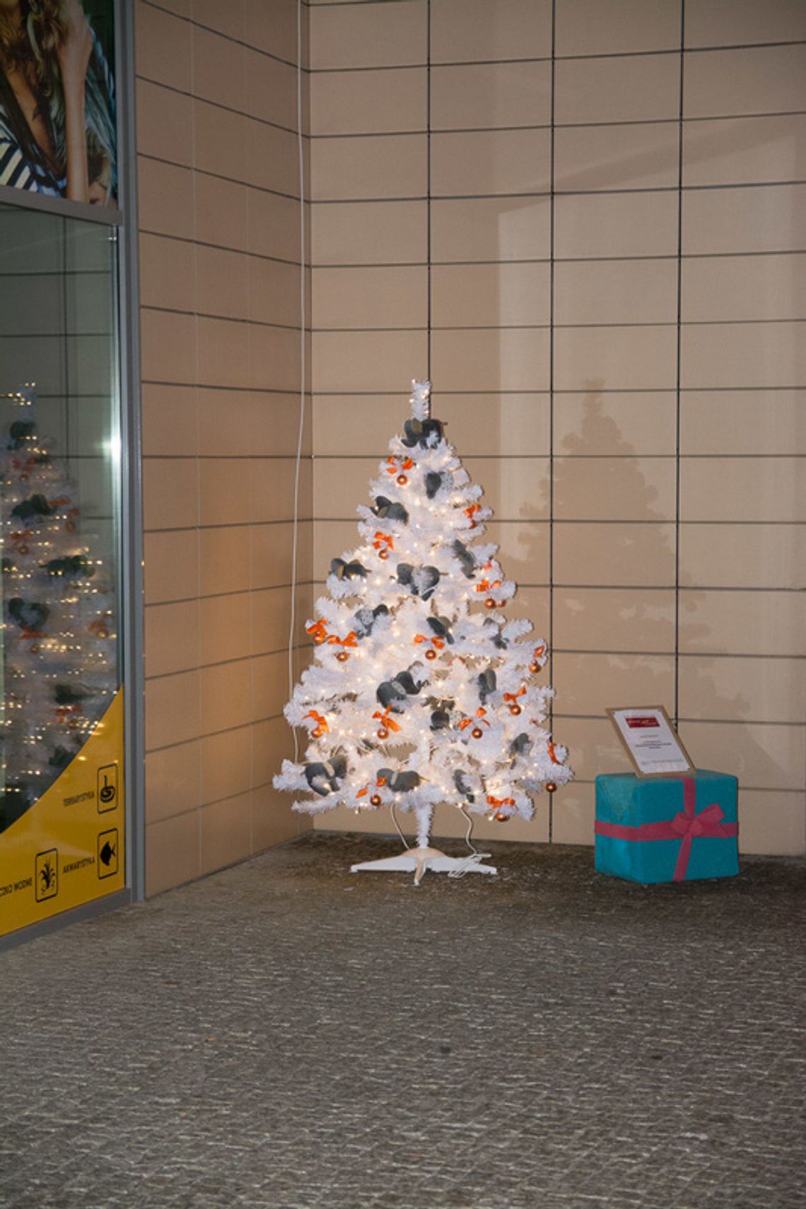 III Charytatywna Wystawa Choinek