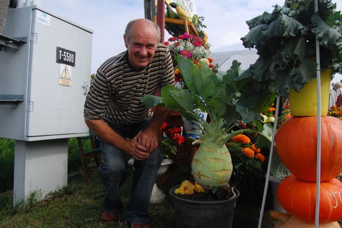 Imponujące warzywa i dorodne owoce Imponujące warzywa i dorodne owoce