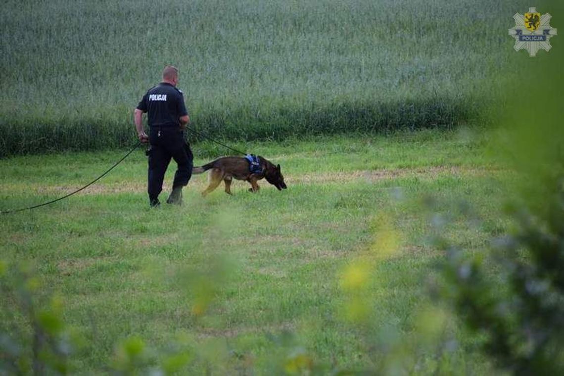 Iwo wraz z opiekunem uratowali życie 16-latki