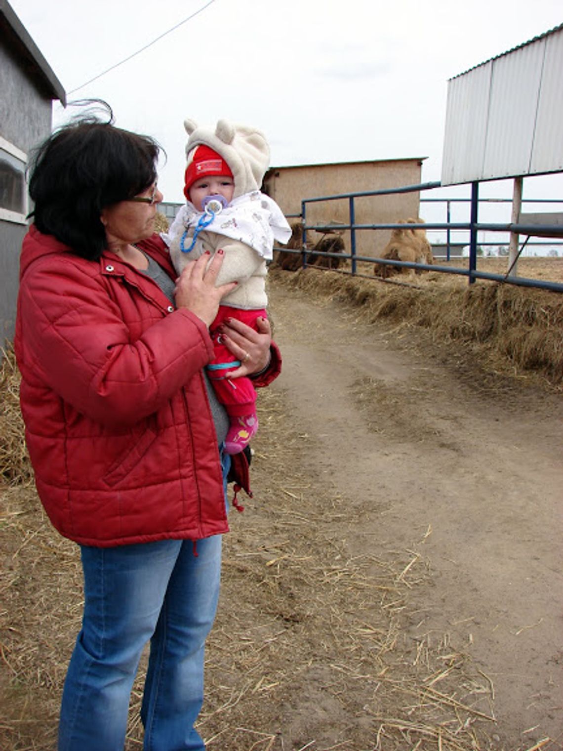 Jak dostać kasę na dziecko? Program 500 Plus w powiecie starogardzkim Jak dostać kasę na dziecko? Program 500 Plus w powiecie starogardzkim