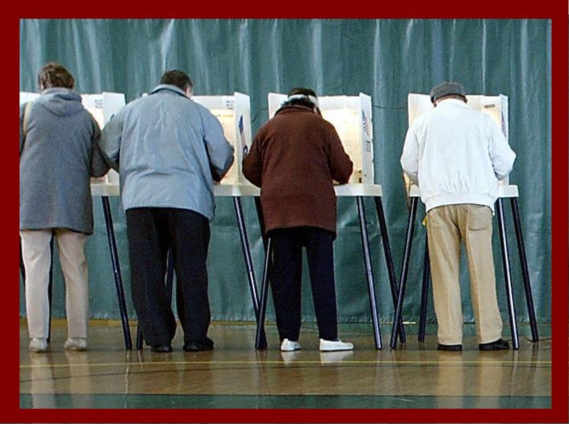 Jak głosowali mieszkańcy powiatu? Ogromna przewaga PO