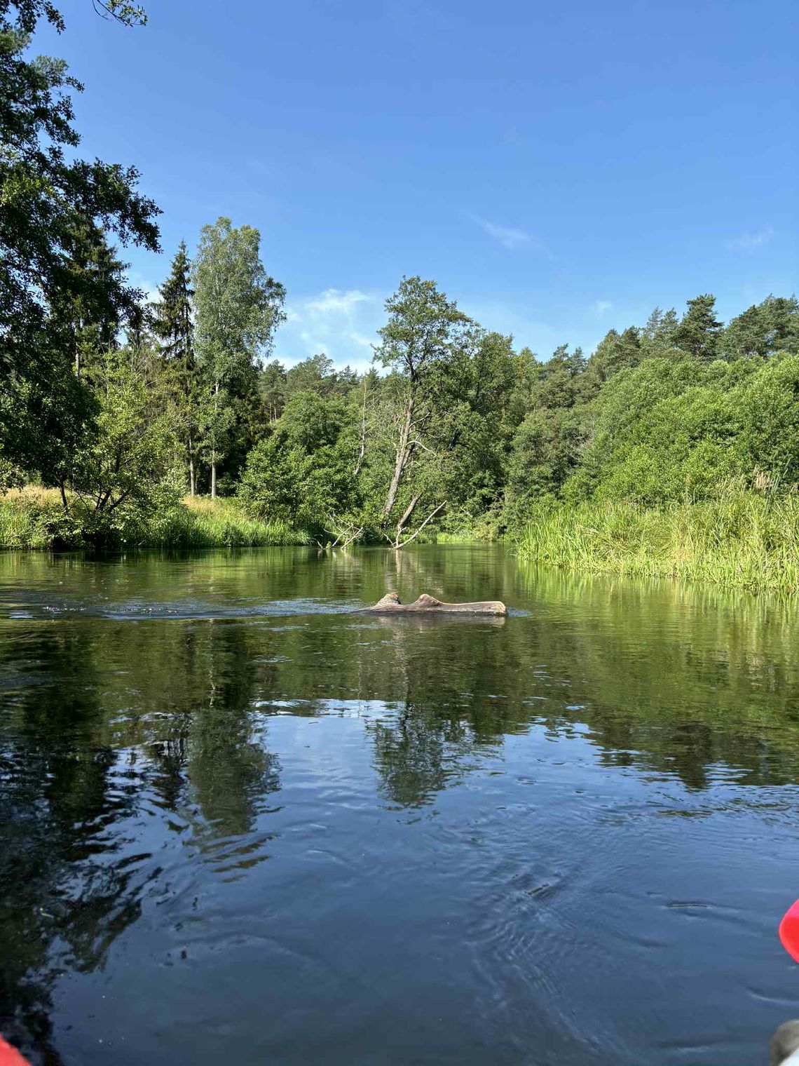 Jak spędzić wakacje niskim kosztem - 7 pomysłów dla rodzin z Kociewia i okolic